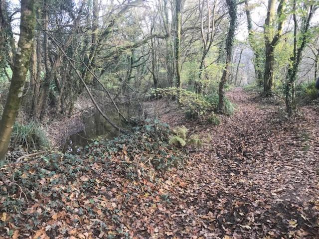 Gunnislake Riverside Stay מראה חיצוני תמונה