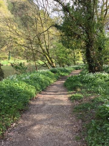 Gunnislake Riverside Stay מראה חיצוני תמונה