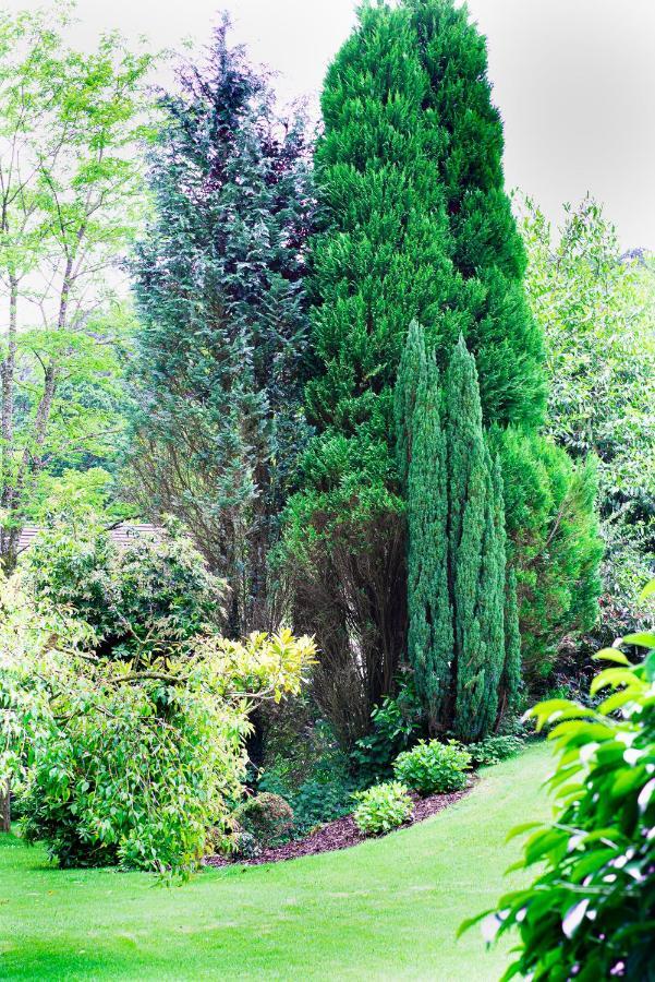 Gunnislake Riverside Stay מראה חיצוני תמונה